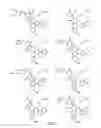 Fig. 42 - METHODS RELATING TO THE TREATMENT OF FIBROTIC DISORDERS