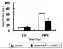 Fig. 01 - Preventive or Therapeutic Agent for Sleep Disorder