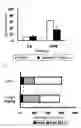 Fig. 02 - Preventive or Therapeutic Agent for Sleep Disorder