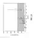 Fig. 04 - METHODS OF ADMINISTRATION OF ADENOSINE A1 RECEPTOR ANTAGONISTS