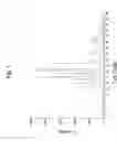 Fig. 02 - CRYSTALLINE GRANISETRON BASE AND PRODUCTION PROCESS THEREFOR