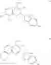 Fig. 10 - Methods and Compositions for Selectin Inhibition