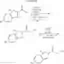 Fig. 16 - Methods and Compositions for Selectin Inhibition