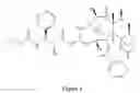 Fig. 05 - Paclitaxel enhancer compound