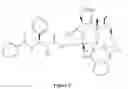 Fig. 06 - Paclitaxel enhancer compound