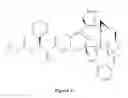 Fig. 07 - Paclitaxel enhancer compound