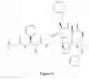Fig. 12 - Paclitaxel enhancer compound