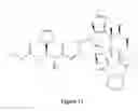 Fig. 14 - Paclitaxel enhancer compound