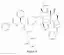 Fig. 16 - Paclitaxel enhancer compound