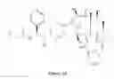 Fig. 25 - Paclitaxel enhancer compound