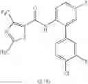 Fig. 53 - Biphenyl-thiazolo-carboxamides