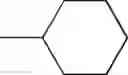 Fig. 1004 - Ion Channel Modulators
