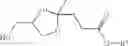 Fig. 65 - Glycerol levulinate ketals and their use