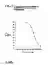 Fig. 06 - (-)-Pseudoephedrine as a sympathomimetic drug