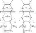 Fig. 13 - Polycyclic polymers containing pendant ion conducting moieties
