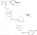 Fig. 30 - Polycyclic polymers containing pendant ion conducting moieties