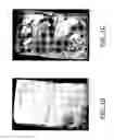 Fig. 03 - Self-assembled nanofiber templates; versatile approaches for polymer nanocomposites