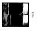 Fig. 11 - Self-assembled nanofiber templates; versatile approaches for polymer nanocomposites