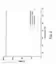 Fig. 12 - Self-assembled nanofiber templates; versatile approaches for polymer nanocomposites