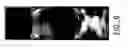 Fig. 13 - Self-assembled nanofiber templates; versatile approaches for polymer nanocomposites