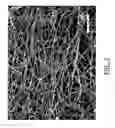 Fig. 14 - Self-assembled nanofiber templates; versatile approaches for polymer nanocomposites