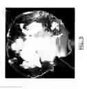 Fig. 17 - Self-assembled nanofiber templates; versatile approaches for polymer nanocomposites