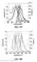 Fig. 11 - Water-soluble fluorescent particle comprising entangled fluorescent polymer and amphiphilic molecule