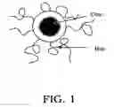 Fig. 02 - Hairy polymeric nanoparticles