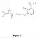 Fig. 04 - Light filters comprising a naturally occurring chromophore and derivatives thereof