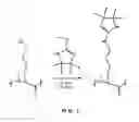 Fig. 02 - LABELING REAGENT AND METHODS OF USE