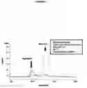 Fig. 08 - O-LINKED GLYCOSYLATION OF PEPTIDES