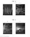 Fig. 05 - Method of producing chitosan scaffold having high tensile strength and chitosan scaffold produced using the method