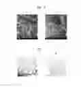 Fig. 06 - Method of producing chitosan scaffold having high tensile strength and chitosan scaffold produced using the method