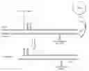 Fig. 01 - Modified polynucleotides for reducing off-target effects in RNA interference