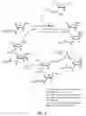 Fig. 04 - Modified polynucleotides for reducing off-target effects in RNA interference