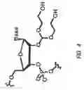 Fig. 05 - Modified polynucleotides for reducing off-target effects in RNA interference
