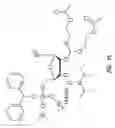 Fig. 28 - Modified polynucleotides for reducing off-target effects in RNA interference
