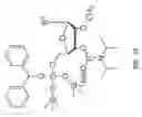 Fig. 29 - Modified polynucleotides for reducing off-target effects in RNA interference
