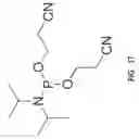Fig. 30 - Modified polynucleotides for reducing off-target effects in RNA interference