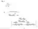 Fig. 03 - Polysaccharide-carbon nanotube complex