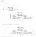 Fig. 04 - Polysaccharide-carbon nanotube complex