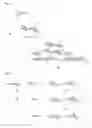 Fig. 05 - Polysaccharide-carbon nanotube complex