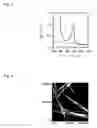 Fig. 09 - Polysaccharide-carbon nanotube complex