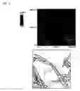 Fig. 10 - Polysaccharide-carbon nanotube complex