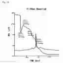 Fig. 15 - Polysaccharide-carbon nanotube complex
