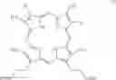 Fig. 02 - Process for preparing porphyrin derivatives, such as protoporphyrin (IX) and synthesis intermediates