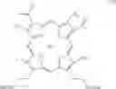 Fig. 08 - Process for preparing porphyrin derivatives, such as protoporphyrin (IX) and synthesis intermediates