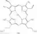 Fig. 43 - Process for preparing porphyrin derivatives, such as protoporphyrin (IX) and synthesis intermediates