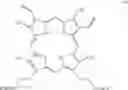 Fig. 91 - Process for preparing porphyrin derivatives, such as protoporphyrin (IX) and synthesis intermediates