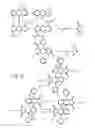 Fig. 11 - Fluorescent aromatic sensors and their methods of use